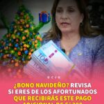 Bono Navideño 2024 en Perú: averigua los requisitos, la cantidad, y la relación de beneficiarios